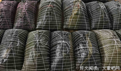 有关咸的句子