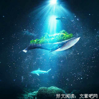 化着之孤岛的鲸好词好句