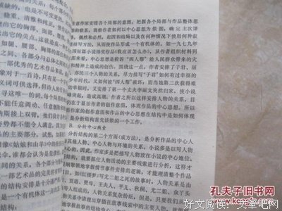 《关于写作》小说书摘
