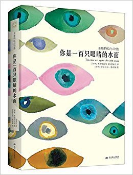 一首情诗一场爱读后感1000字