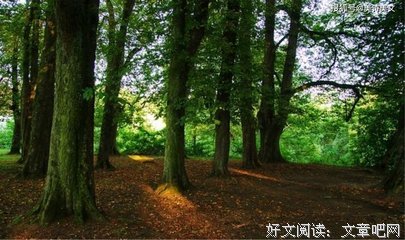 关于清澈见底名言名句