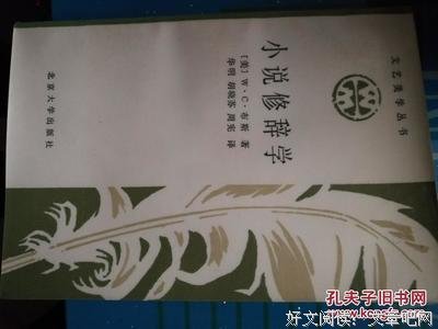 小说修辞学经典读后感有感