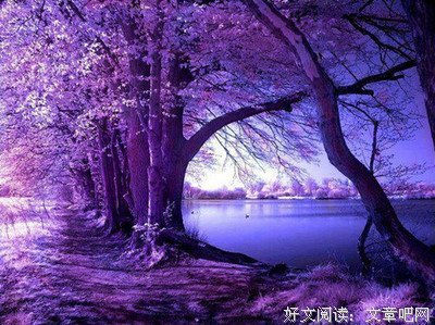 关于短暂的唯美语录