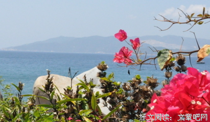 关于事实上名言名句