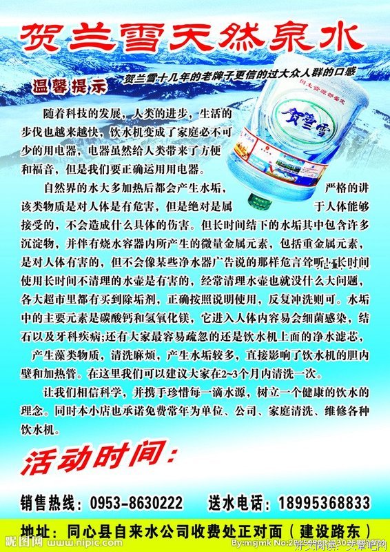 《贺兰雪》经典观后感有感