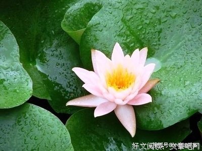 描写安稳的经典句子