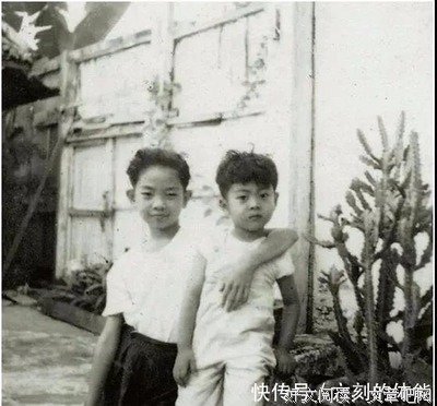 《接管疯人院 第一季》经典影评有感
