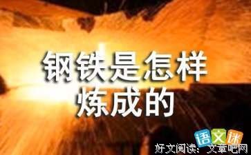 不负责任的自我读后感1000字