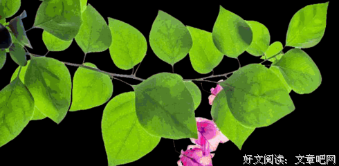 博物馆里的巅峰对决读后感锦集