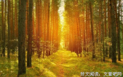 关于清凉名言名句