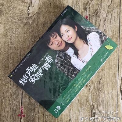 《我们无处安放的青春》经典影评1000字