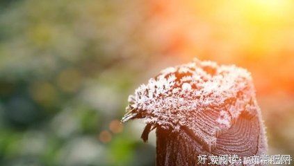 有关触动心扉的句子