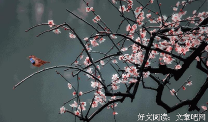 暗香经典名句