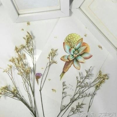 漠和一来的优美句子