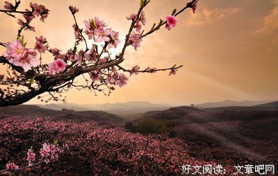 关于1的优美句子