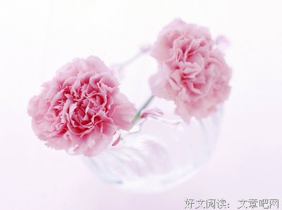 小清新的句子