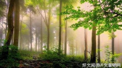 事成然以笙箫优美的句子