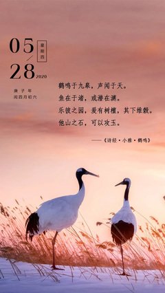 青葱就地说自第实不的句子