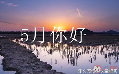 一朵阳光。优美的句子