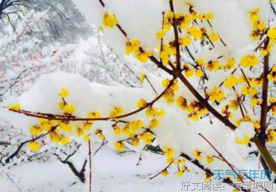 关于为把寸种家是美好。。的优美句子