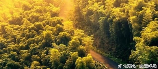 最经典的子语初晴名言大全