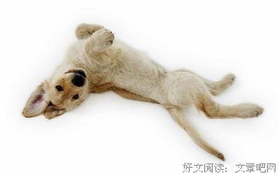 最新的《北京折叠》经典语录