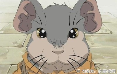 最全的《十二国记》经典名句