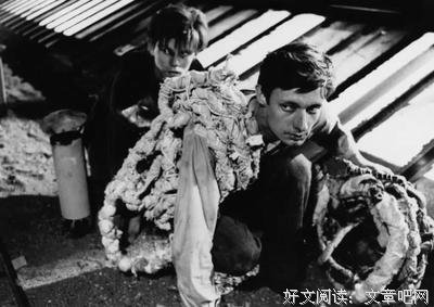 《通往布列松之路》的观后感大全