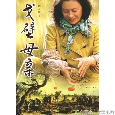 《戈壁母亲》经典影评有感