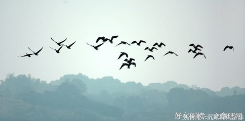 The Obesity Code: Unlocking the Secrets of Weight Loss的读后