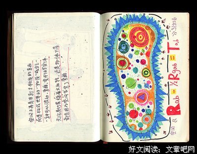 极简主义读后感100字