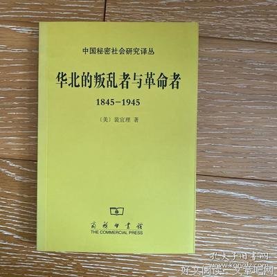 华北的叛乱者与革命者读后感摘抄