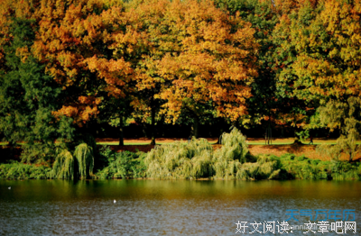 描写慌乱的经典句子