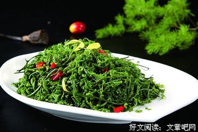 《爱你没商量》观后感摘抄