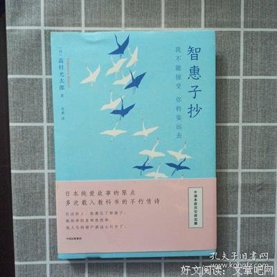 智惠子抄读后感精选