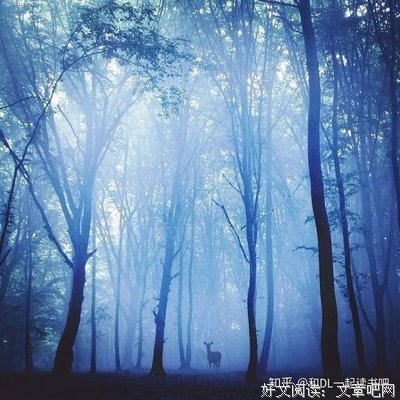 无所事事的语句摘抄_关于无所事事的语句