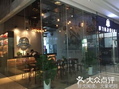《拳力以赴》的读后感大全