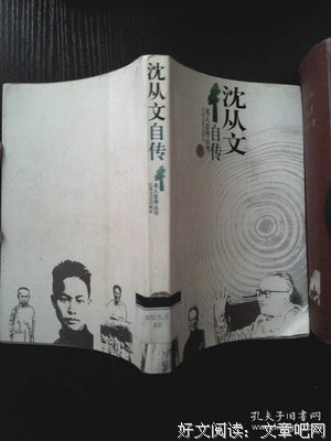 从文自传读后感精选