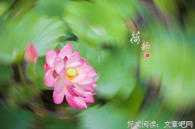 素锦流年经典的句子