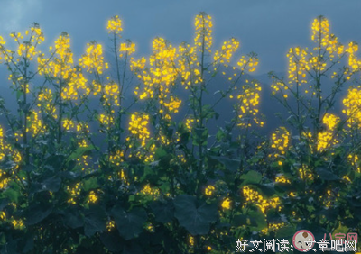 关于繁华一个小、荣耀半生的优美句子