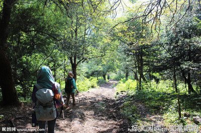 行走札记 | 大师筑匠，群星璀璨：中山陵经典纪念建筑探幽