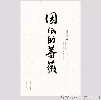有关盛也要华歌的句子