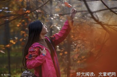 离殇收集录经典的句子
