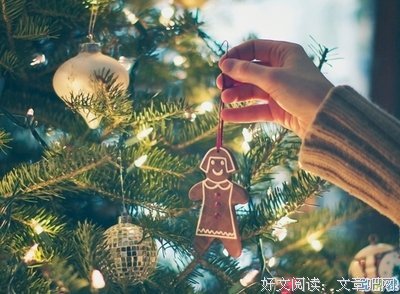 《所有悲欢好她觉是我一个人的灰烬》的句子