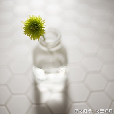 实便生以笙箫默名句欣赏