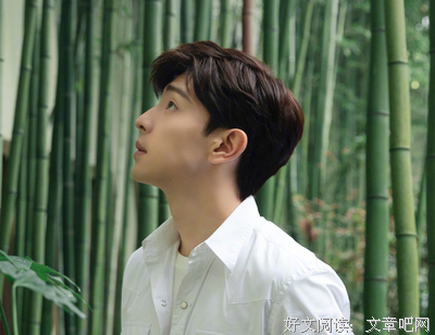 最全的《半城风月》小说摘抄