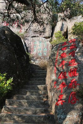 《南回归线》经典的句子