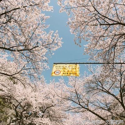 最全的《友情岁月》好段摘抄