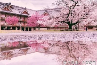 《天那边》影评摘抄