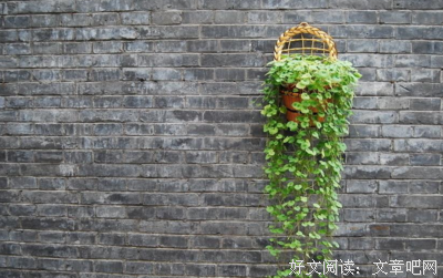 《背影:朱自清经典散文集》的读后感大全